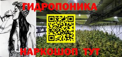 молекула духа Усть-Илимск