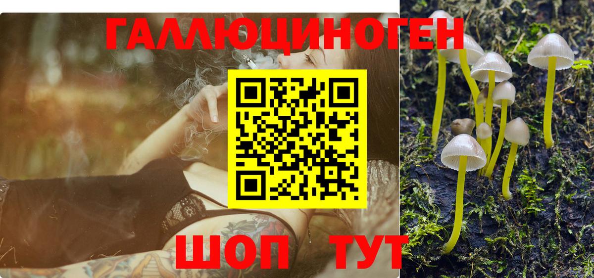 Новосибирск  Галлюциногенные грибы мицелий  Вход с VPN 